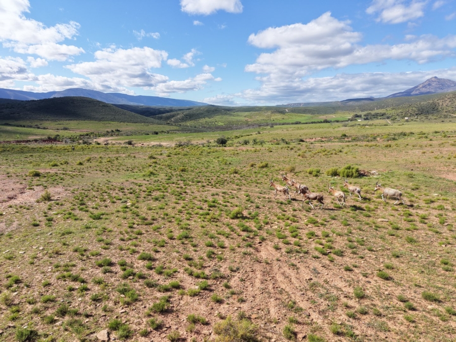 Commercial Property for Sale in Mossel Bay Rural Western Cape